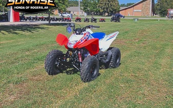 2026 TRX® 250X - Honda
