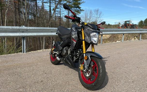 2024 Kawasaki Z125 PRO