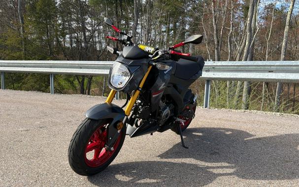 2024 Kawasaki Z125 PRO