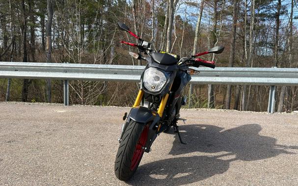 2024 Kawasaki Z125 PRO