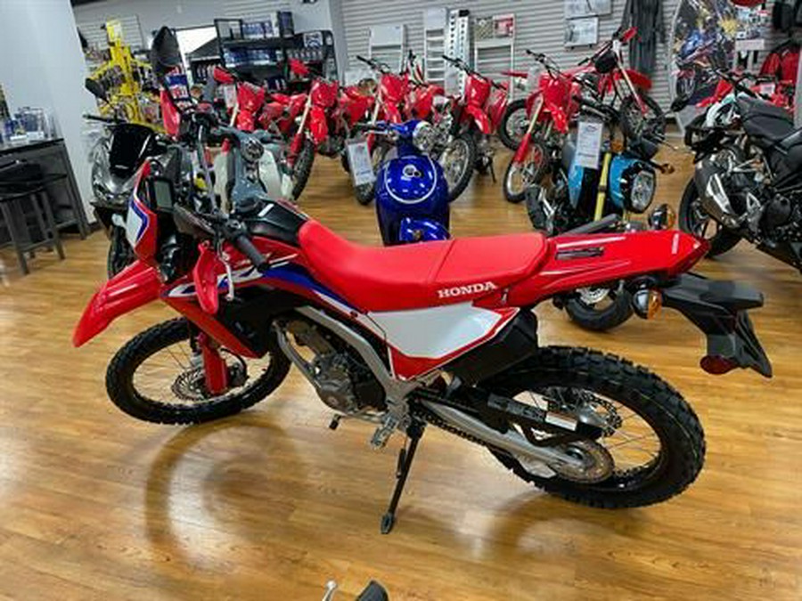 2024 Honda CRF300L Rally