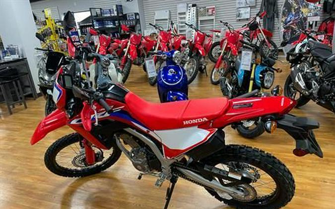 2024 Honda CRF300L Rally