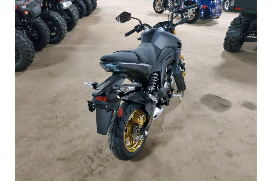 2024 Kawasaki Z125 PRO Base