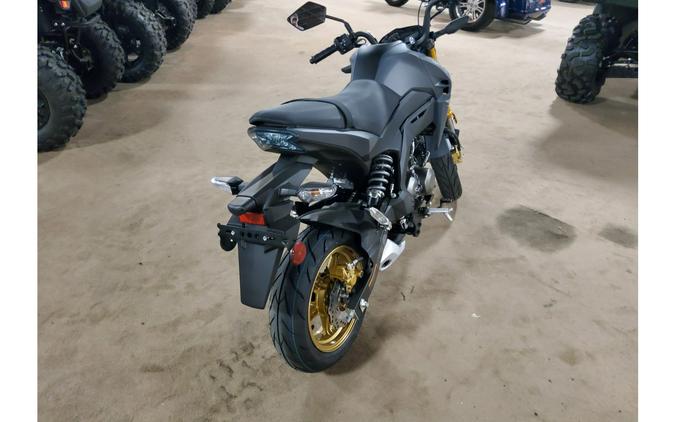 2024 Kawasaki Z125 PRO Base