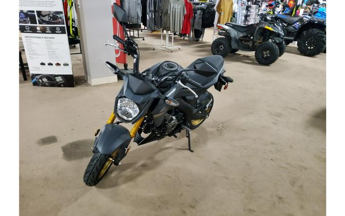 2024 Kawasaki Z125 PRO Base