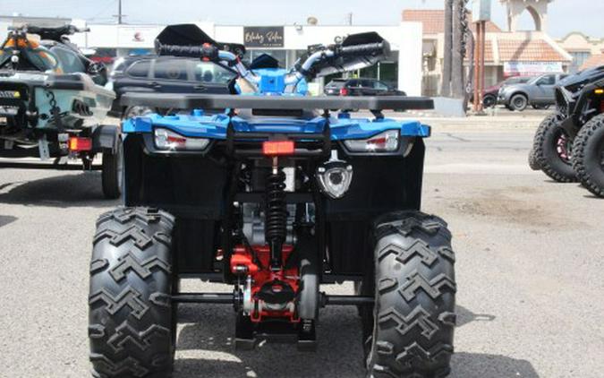 2026 Denago Powersports Mudhawk 200FI