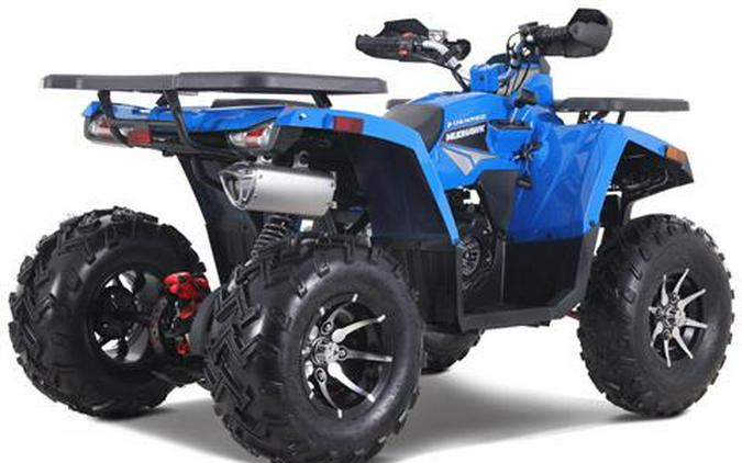 2026 Denago Powersports Mudhawk 200FI