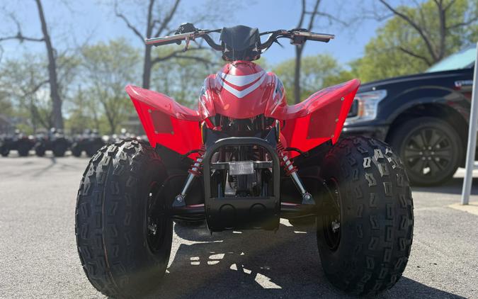 2026 Honda TRX90X