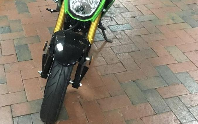 2024 Kawasaki Z125 PRO