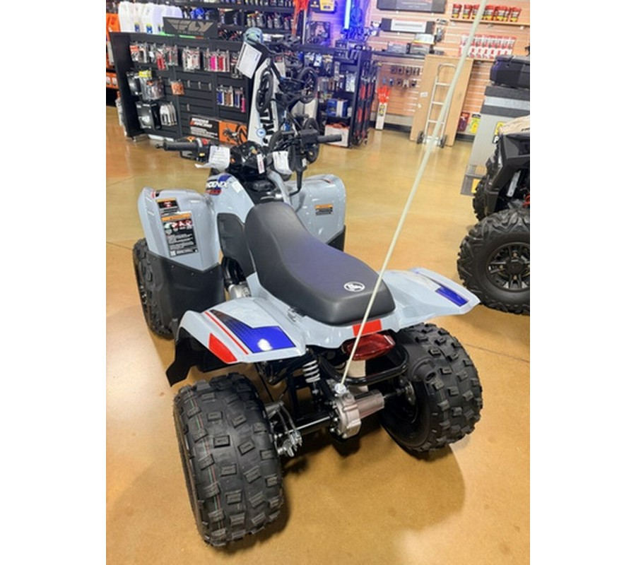 2026 Polaris Phoenix 200