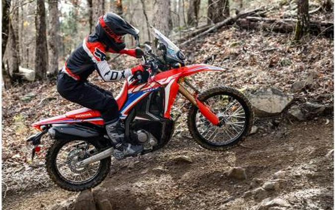 2023 Honda CRF® 300L Rally