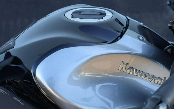 2019 KAWASAKI Z 900
