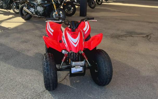 2026 Honda TRX90X