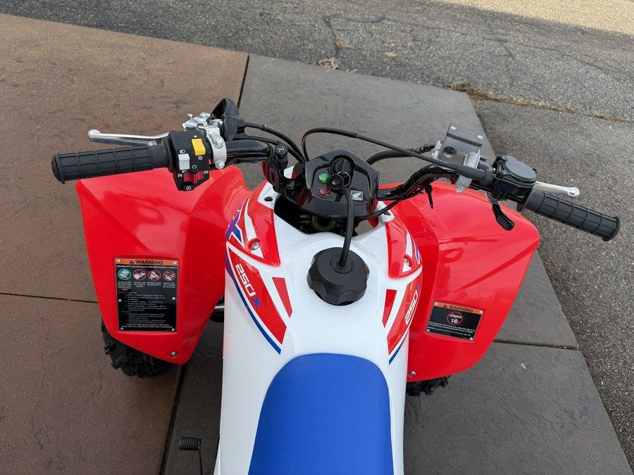 2026 Honda TRX250X
