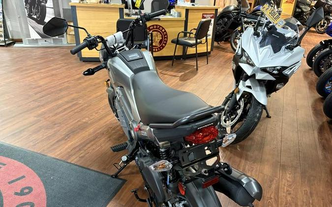 2025 Honda® Navi Arctic Silver Metallic