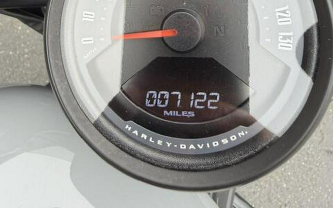 2025 Harley-Davidson Nightster Billiard Gray
