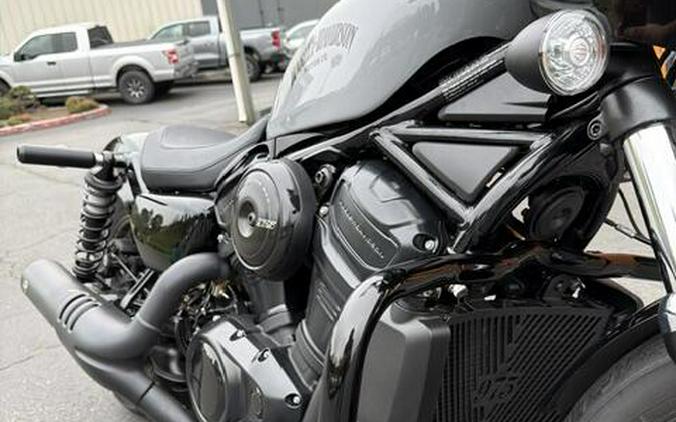2025 Harley-Davidson Nightster Billiard Gray