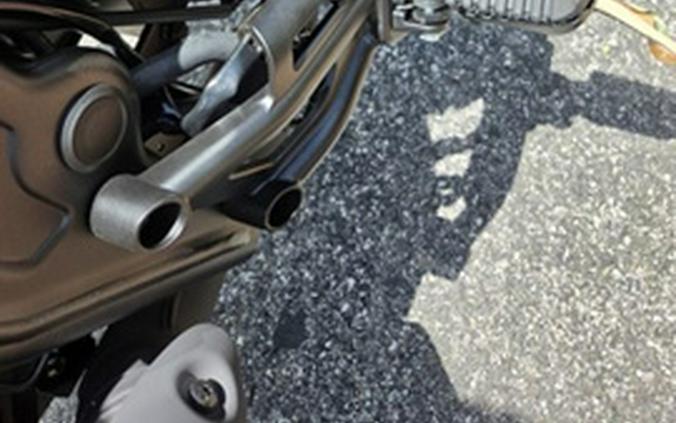 2026 Honda Rebel 300