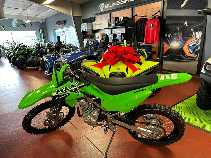 2024 Kawasaki KLX 230R