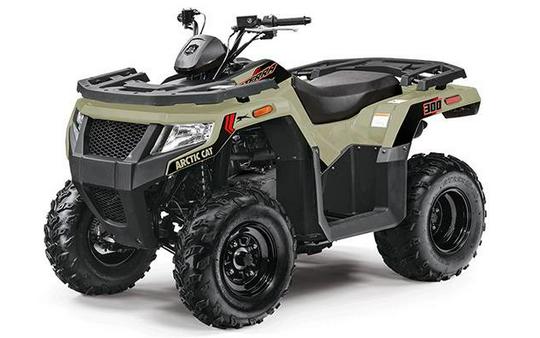 2024 Arctic Cat Alterra 300