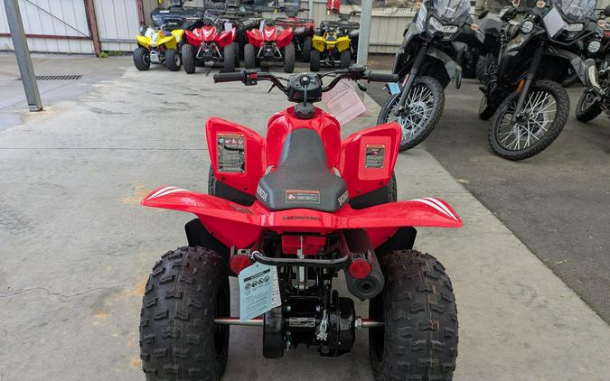 2026 Honda TRX90X