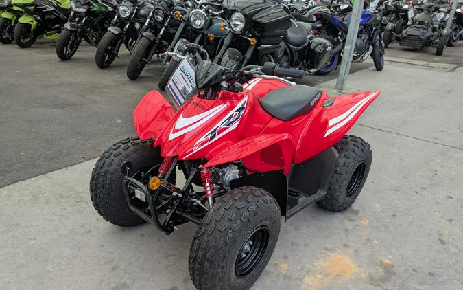 2026 Honda TRX90X