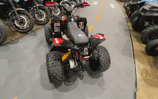2026 Can-Am RENEGADE X XC 110 EFI
