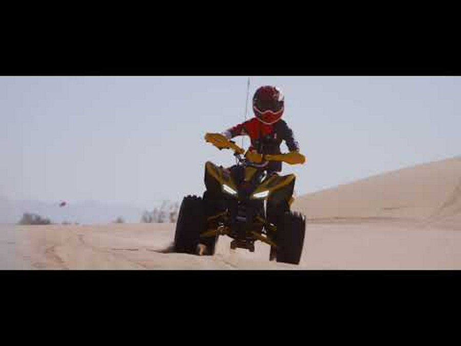 2026 Denago Powersports Trailhawk 10FI