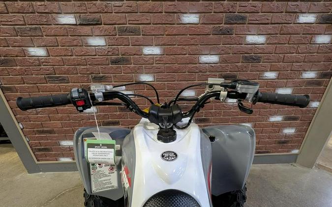 2026 Yamaha Raptor 700