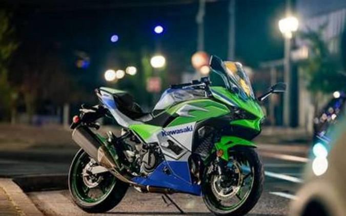 2024 Kawasaki Ninja® 500 SE 40th Anniversary Edition ABS