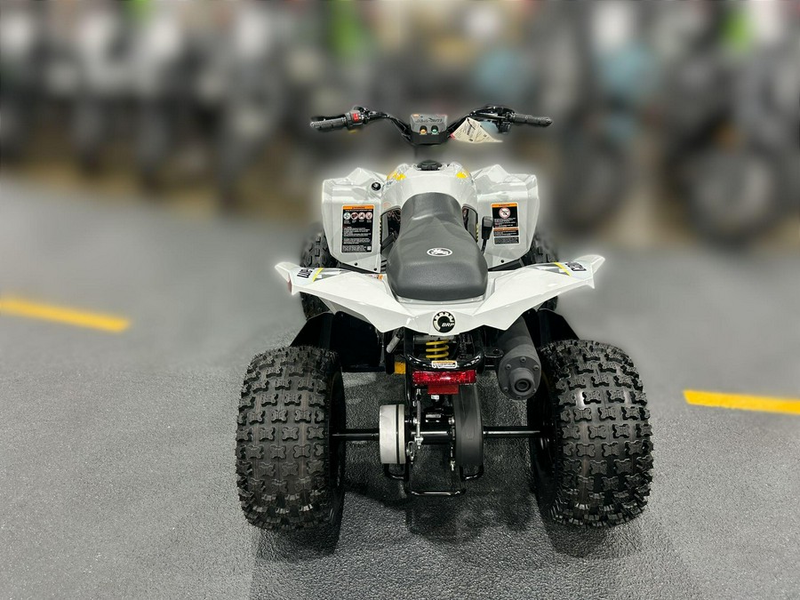 2026 Can-Am RENEGADE 110 EFI