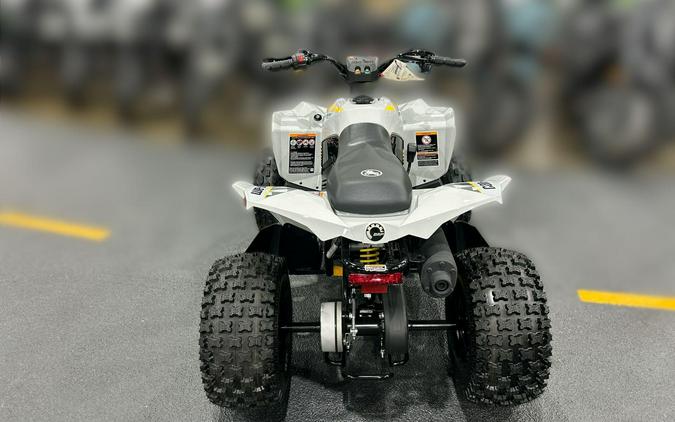 2026 Can-Am RENEGADE 110 EFI