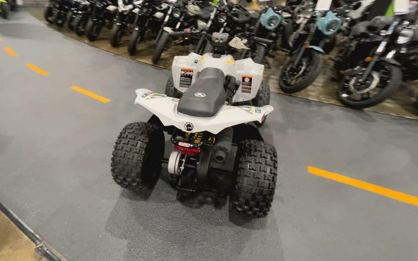 2026 Can-Am RENEGADE 110 EFI