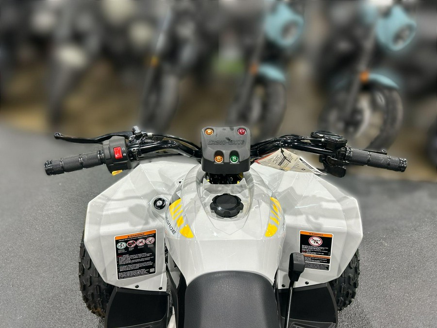 2026 Can-Am RENEGADE 110 EFI