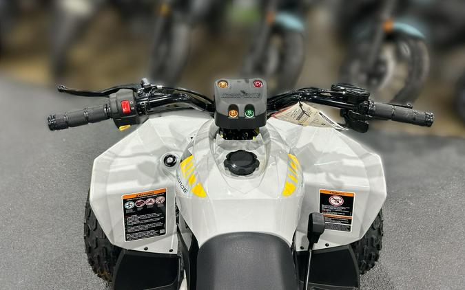 2026 Can-Am RENEGADE 110 EFI