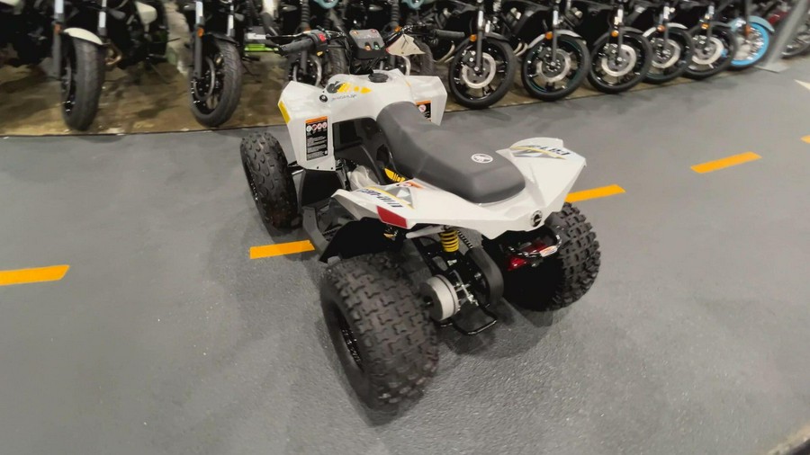 2026 Can-Am RENEGADE 110 EFI