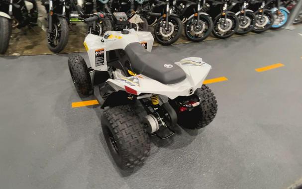 2026 Can-Am RENEGADE 110 EFI