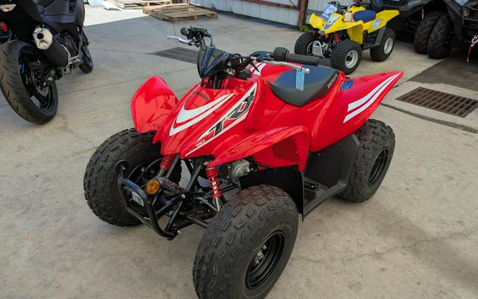 2026 Honda TRX90X