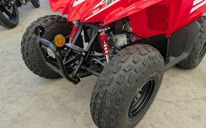 2026 Honda TRX90X