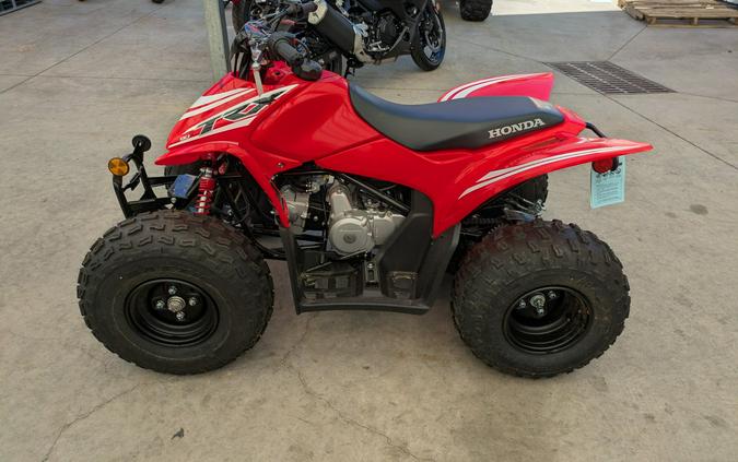 2026 Honda TRX90X