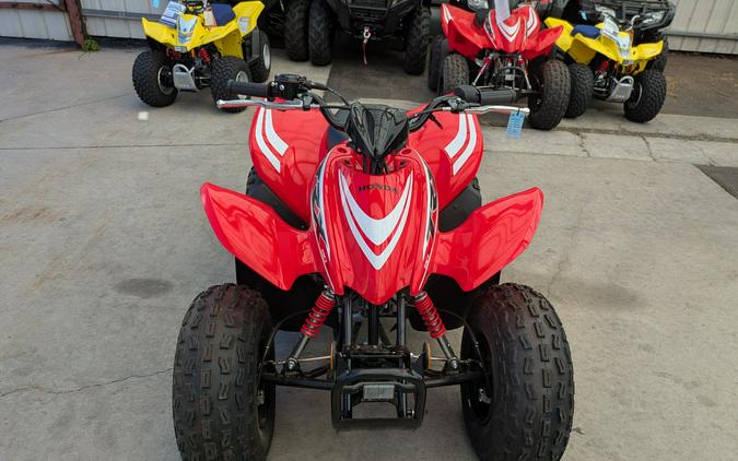 2026 Honda TRX90X