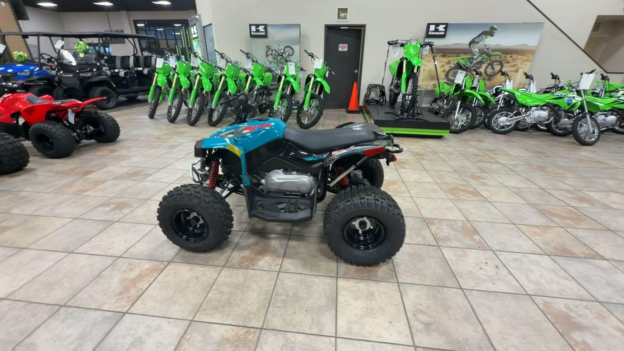 2026 Can-Am RENEGADE 110 EFI