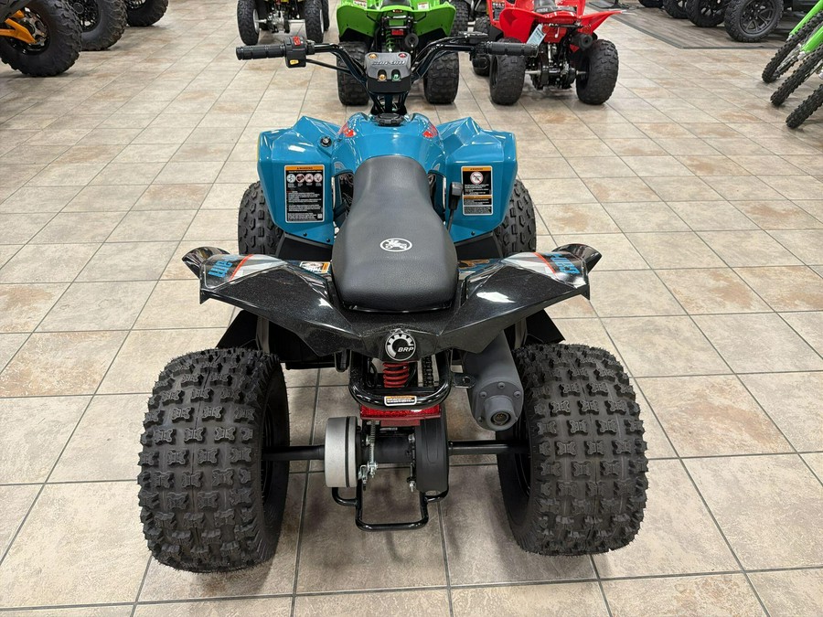 2026 Can-Am RENEGADE 110 EFI