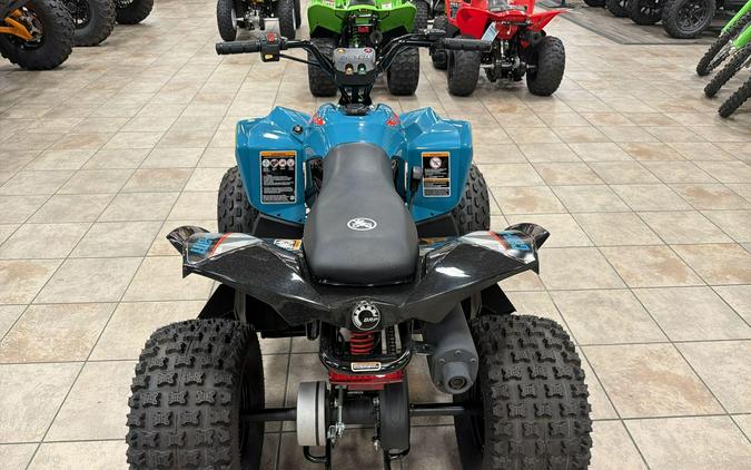 2026 Can-Am RENEGADE 110 EFI