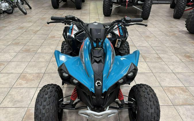 2026 Can-Am RENEGADE 110 EFI