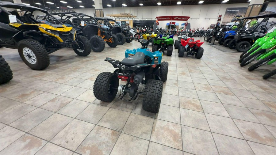 2026 Can-Am RENEGADE 110 EFI