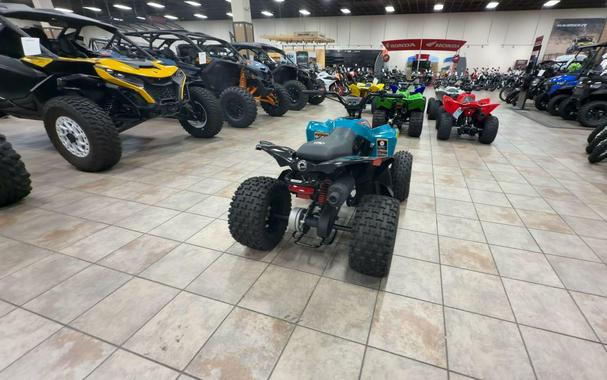 2026 Can-Am RENEGADE 110 EFI