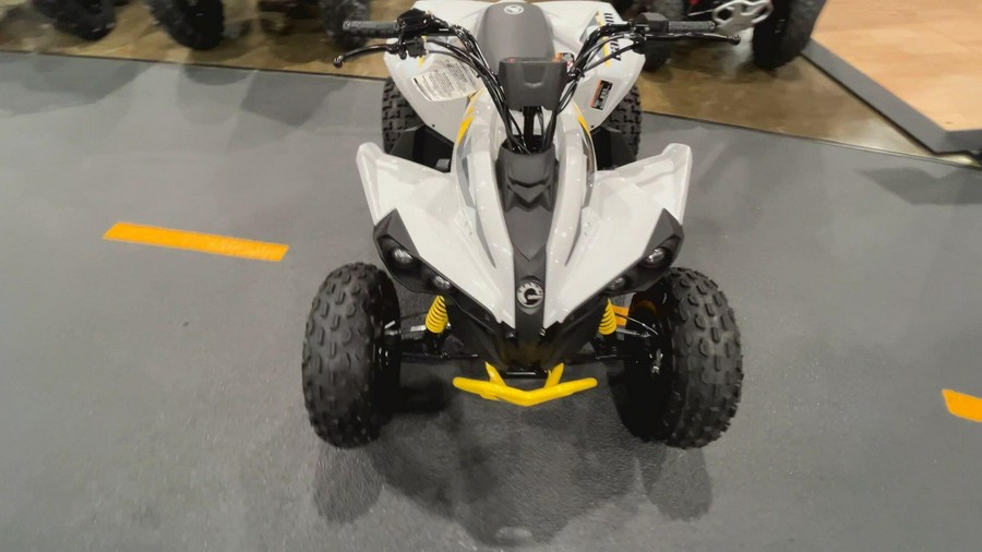 2026 Can-Am RENEGADE 110 EFI