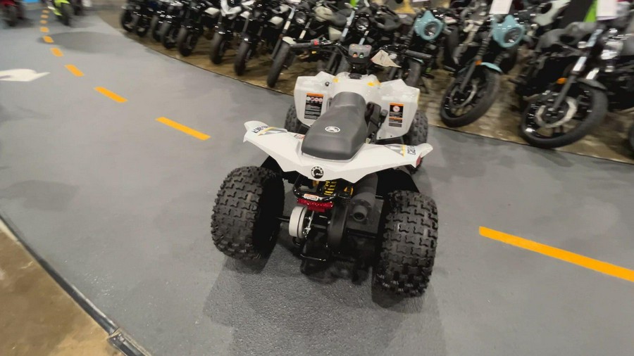 2026 Can-Am RENEGADE 110 EFI