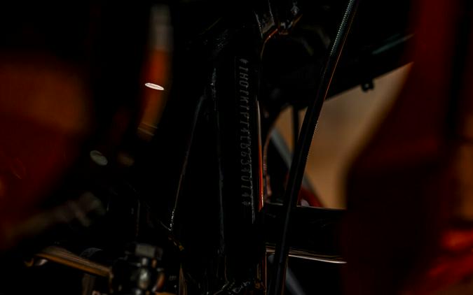 2020 Harley-Davidson Road Glide Special